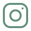 network-icon